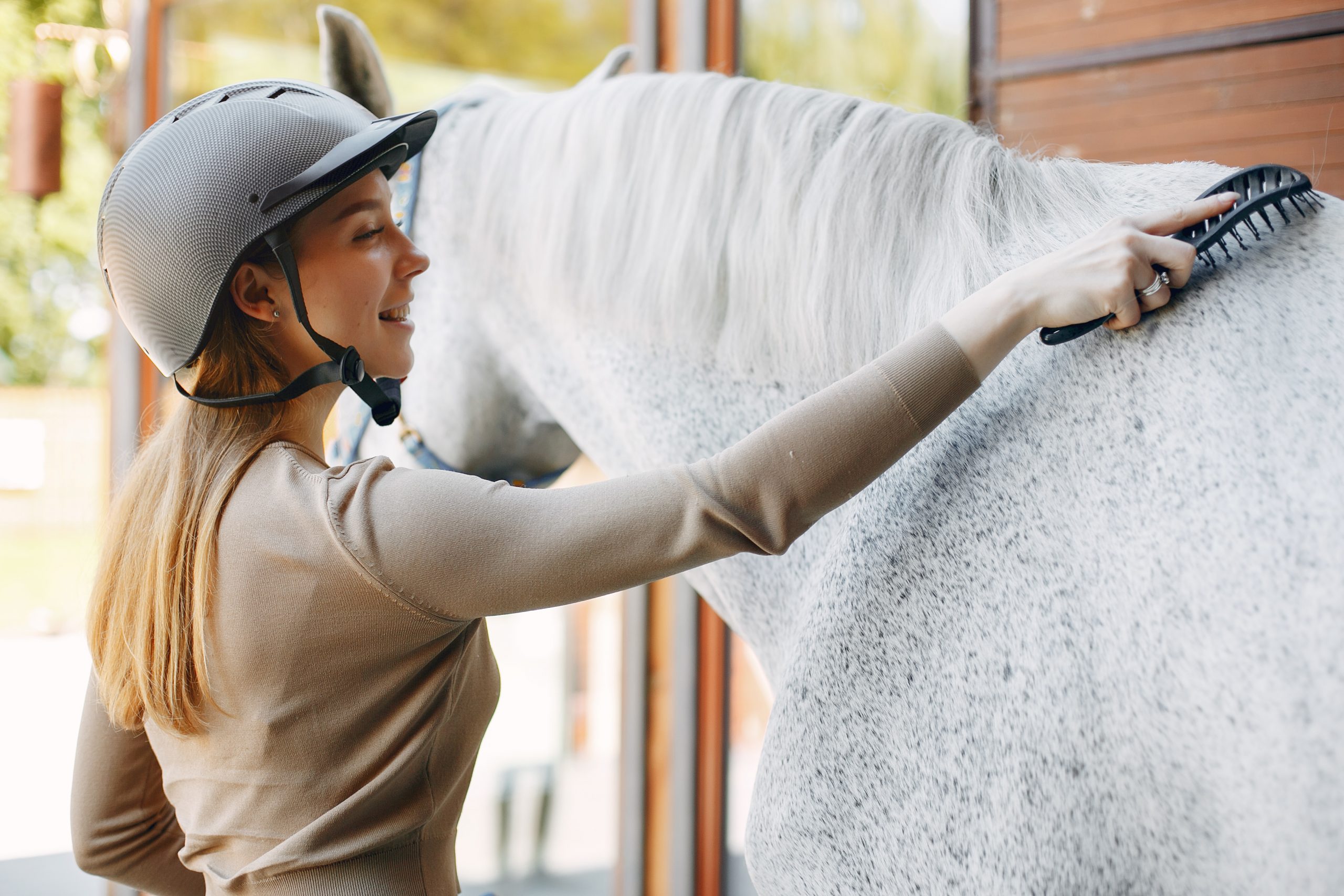 Hodowla i pielęgnacja konia – o czym trzeba wiedzieć na początku jeździeckiej przygody?
